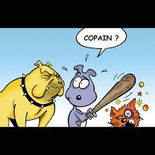 Images copain